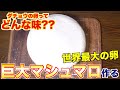 世界最大のダチョウの卵で特大マシュマロ作ります！！