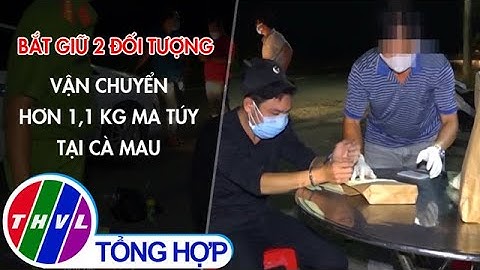 Bắt giữ 2 đối tượng vận chuyển hơn 1,1kg ma túy tại Cà Mau