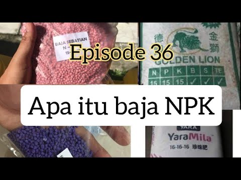 [ BASIC ] Apa itu baja NPK dan cara penggunaan | What is NPK fertilizer