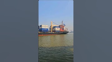 Tàu Container cập cảng sáng nay