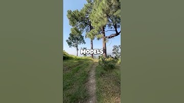 How I Broke Free From Information Overload and Learned to Think Clearly Again