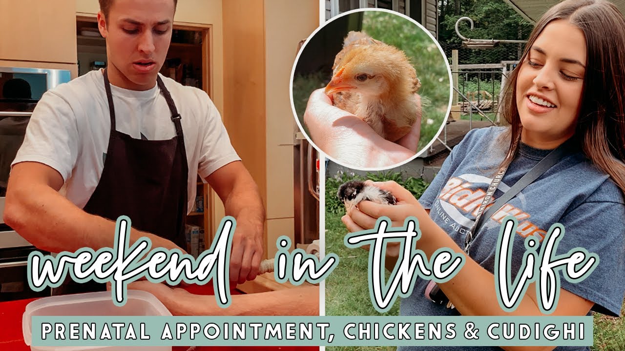 30 Week Prenatal Appointment Chickens Cudighi WEEKEND IN THE LIFE 30 Week Prenatal Appointment Chickens Cudighi WEEKEND IN THE LIFE