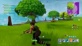 Fortnite Battle Royale Win Compilation