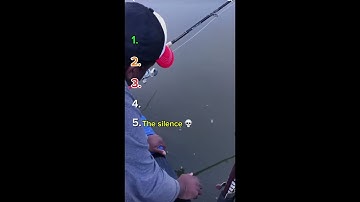 Top five best fish releases