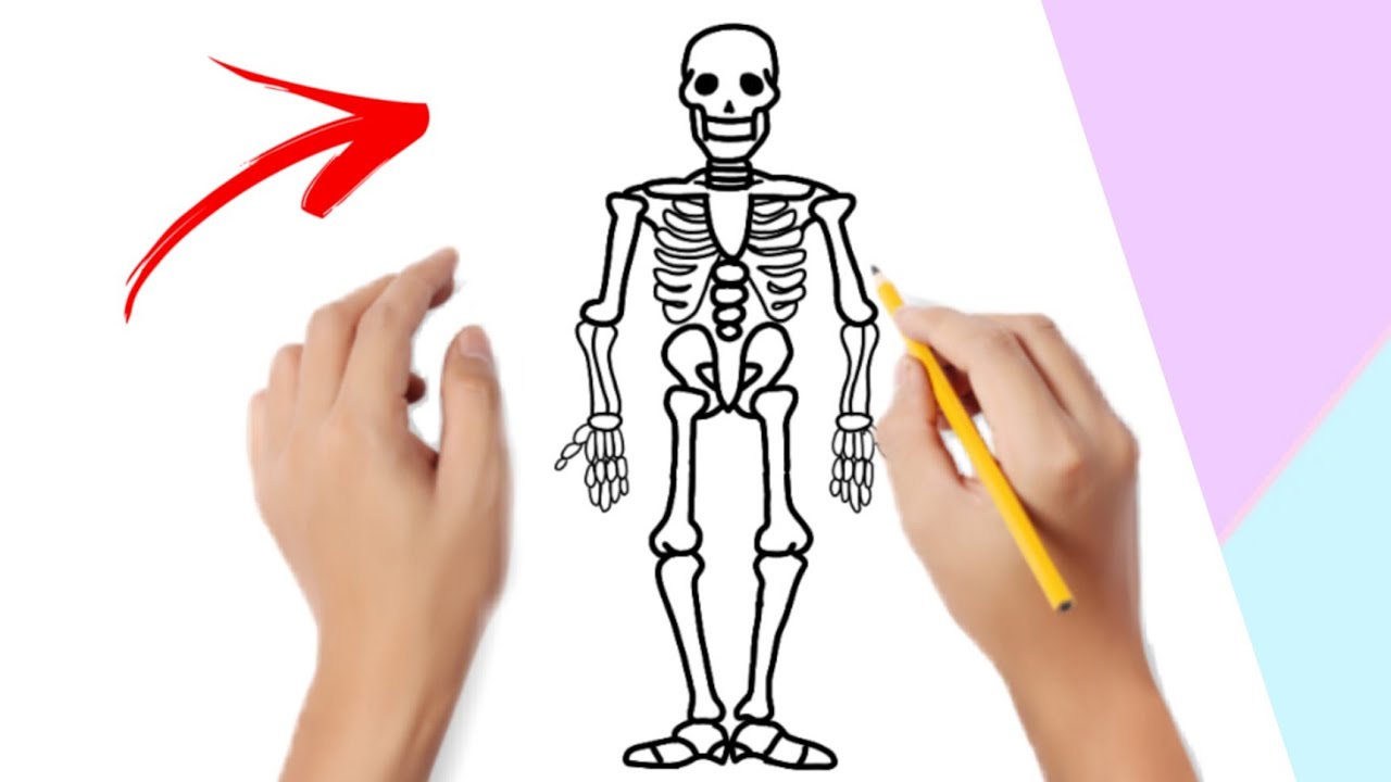 Cómo dibujar un esqueleto fácil , paso a paso • How ti draw a skeleton ...