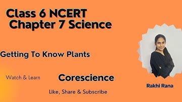 Class 6 Science Chapter 7 NCERT| Getting to Know Plants| Stem, Leaf Explained!
