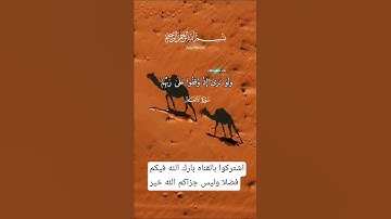 #القارئ #ريان المحيسني #قران_كريم #تلاوة_خاشعة #لاإله_إلا_الله_محمد_رسول_الله