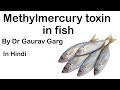 Methylmercury Toxin in fish caused by Ocean warming & increased Overfishing #UPSC #IAS #UPSC2020