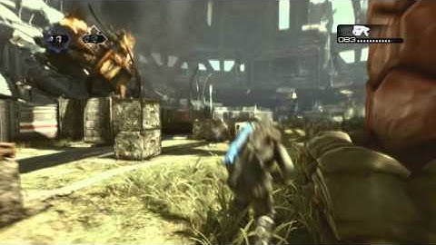 CxLin&Vinifies (36-0)