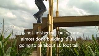 Corn Maze