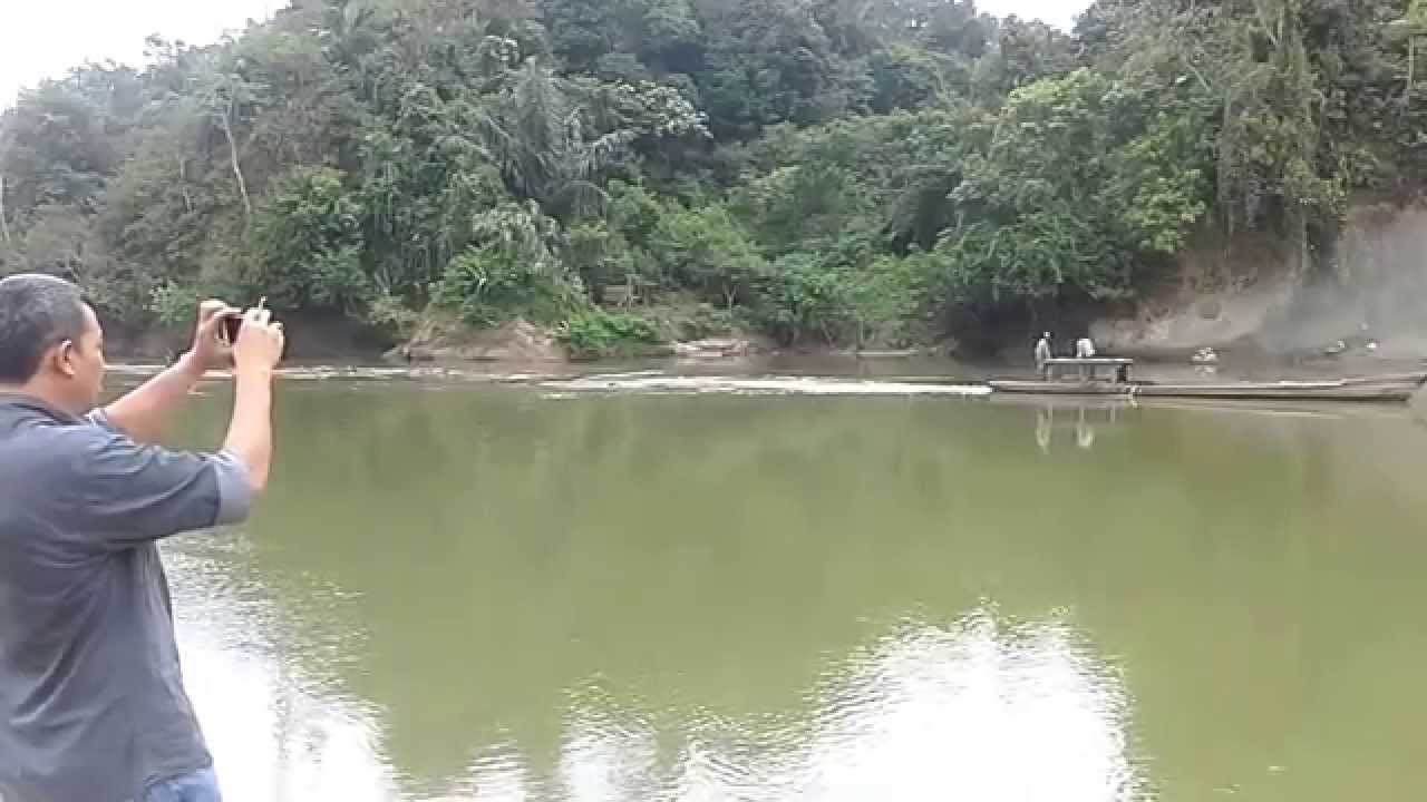 Illegal Logging di Aceh Tamiang 