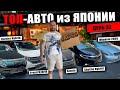 Корабль с авто из Японии!! HARRIER HYBRID!! SIENTA VS FREED!!