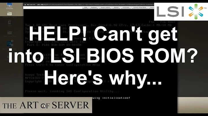 Help! I can't get into the LSI BIOS ROM SAS configuration utility | How to fix