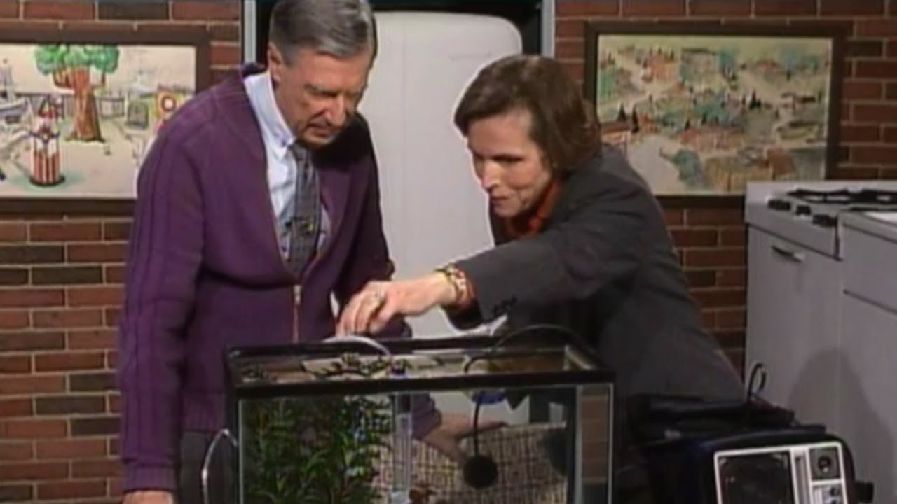 Mister Rogers' Unexpected Response to Quiet Fish (1999) YouTube
