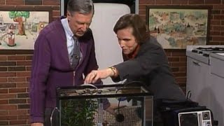 Mister Rogers' Unexpected Response to Quiet Fish (1999) screenshot 5