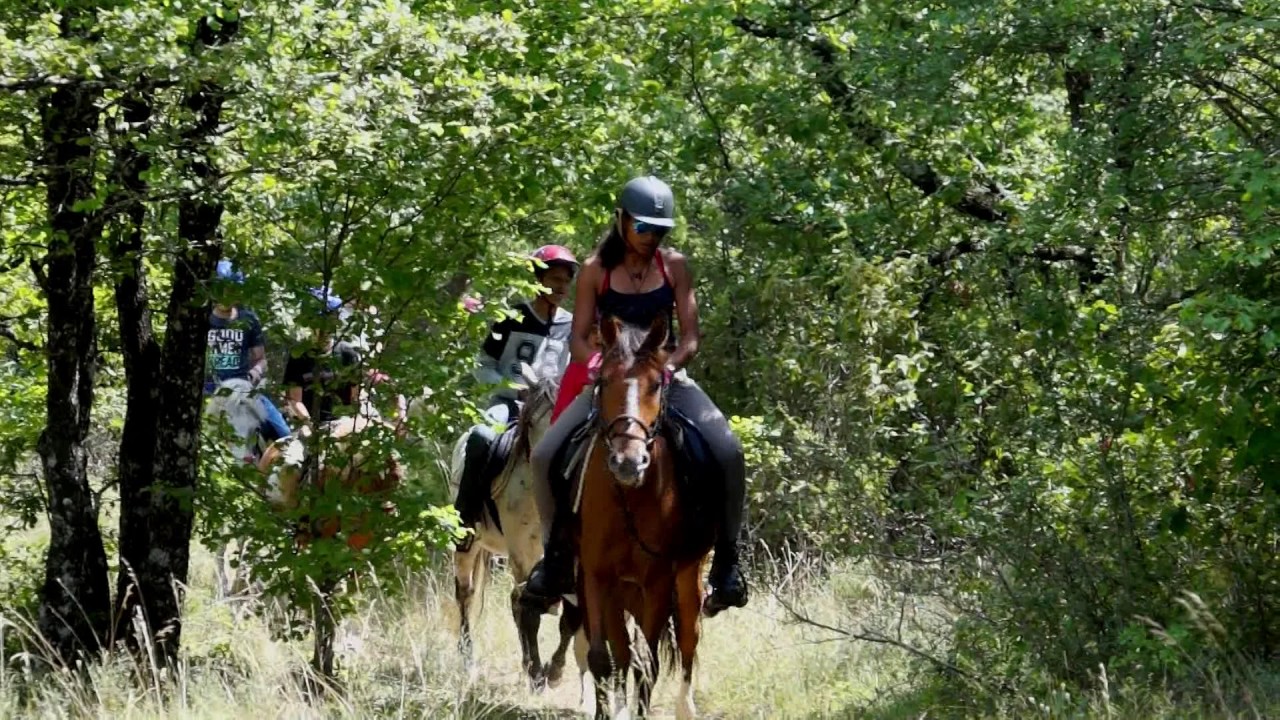 Colonie de Vacances Tarn : Summer Camp au Domaine Lascroux , Gîtes de France Tarn