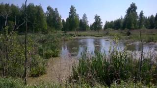 WP 20160526 015