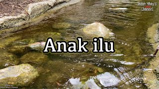 ANAK ILU | Indah Wal | Tausug Karaoke