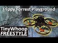 TinyWhoop Freestyle - Trippy Forrest Playground - 4 Months of FPV