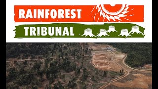 EXPLOSIVE NEW DOCUMENTARY  The Rainforest Tribunal
