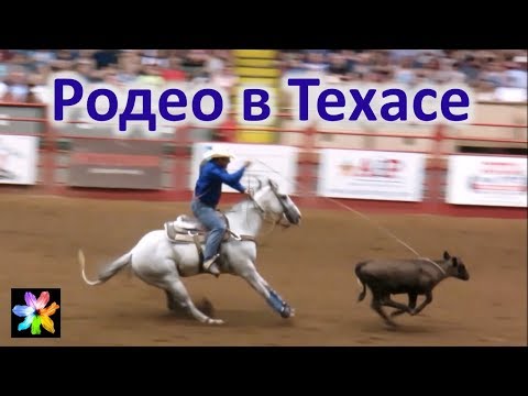 🐎 Cowboys Championship Rodeo in Texas. Stockyards, Fort Worth