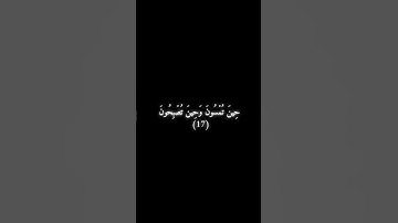 سورة الروم 17 - 18 - عبد الباسط عبد الصمد .