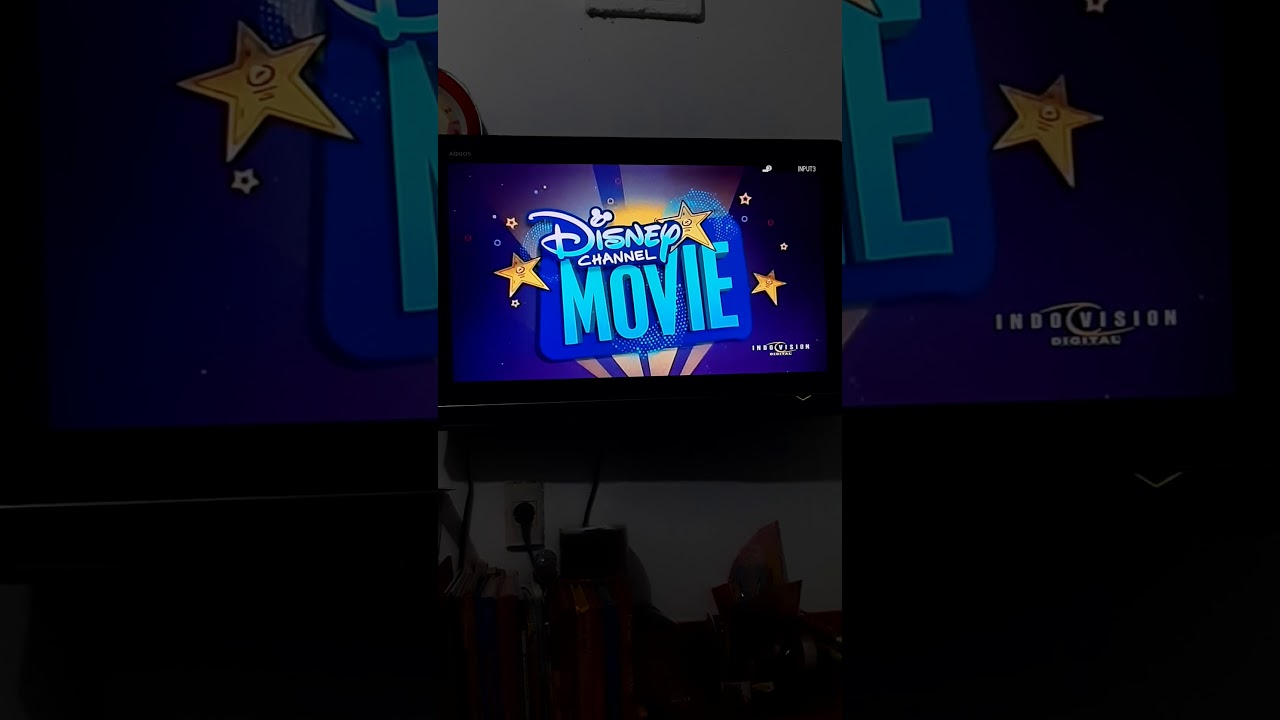 The Princess Diaries 2: Royal Engagement - Disney Channel Intro