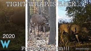 The RUT IS ON!!! The big boys in range!!