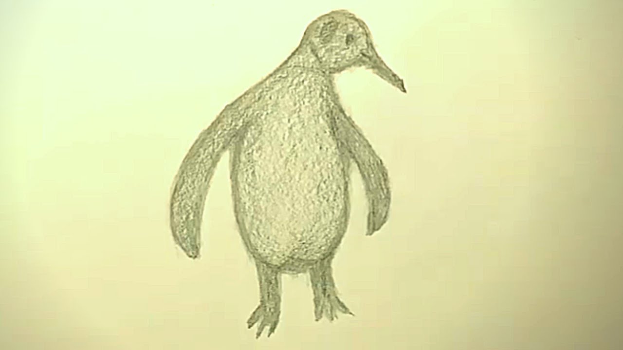 How to draw a penguin - YouTube