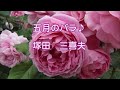 五月の薔バラ♪ 塚田三喜夫