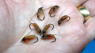 Tying a Caddis Pupa by Davie McPhail