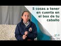 🐴5 cosas IMPORTANTES de la cuadra de tu caballo🐴