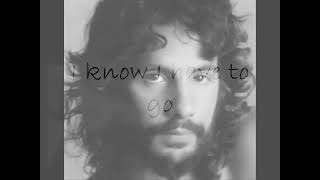 Son  Cat Stevens