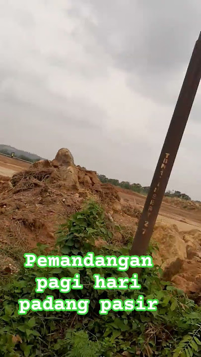 indah banget pemandangan pagi hari besti sejuk segarr..#fypシ゚viral