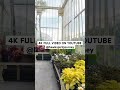 4K Relaxing Focus In A Glass Garden Surrounded By New Blooms 4K Relaxing Focus In A Glass Garden Surrounded By New Blooms