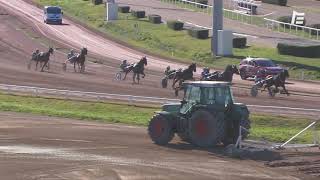 Vidéo de la course PMU PRIX DE LA BRUYERE