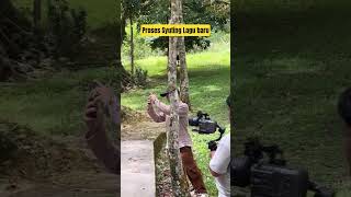 #fauzana #fauzanaterbaru #sobatngarit #shortvideo #shortsvideo#1000subscriber #1millionviews#1jtview