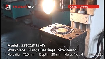 TARWIT multi-spindle drilling machine ZB5213X12 4Y for flange bearings