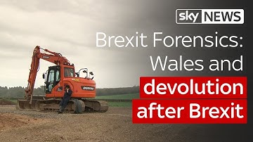 Brexit Forensics: Wales and devolution after Brexit