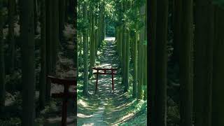 【Japan】山形にある異世界のような神社を知ってますか?
