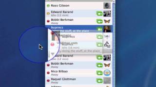 iChat Buddy List Overview screenshot 4