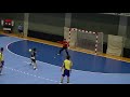 第41回全国高校ハンドボール選抜大会　1回戦　那賀vs仙台第二②