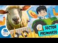 Quiz sobre Trabajos en la Naturaleza