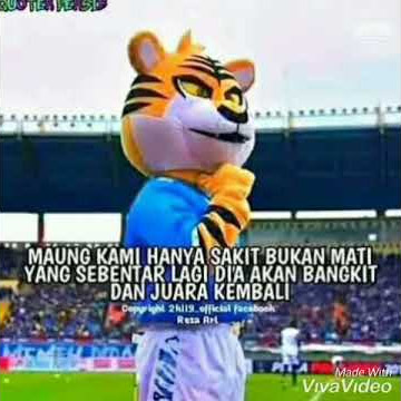 Story wa persib keren