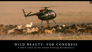 WILD BEAUTY for Congress:  Pass H.R. 3656