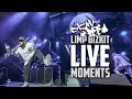 5 Unexpected Limp Bizkit Live Moments!
