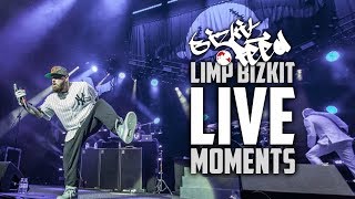 5 Unexpected Limp Bizkit Live Moments!