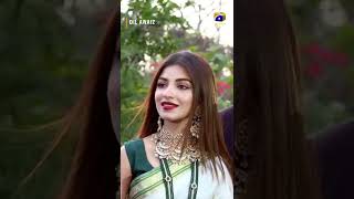 Dil Awaiz Aur Khushi Ke Lamhay