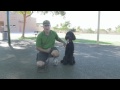 How To Prevent and Stop Dog Barking How To Prevent and Stop Dog Barking