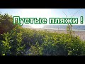 4К Пляжи Калининградской области - из Куликово в Сокольники#калининград#отдыхвкалининграде#пляжи